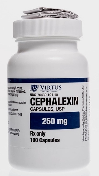 cephalexin